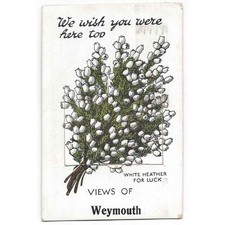 WEYMOUTH Novelty Pull Out