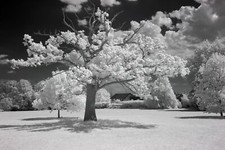 Modified Nikon D5100 cam body