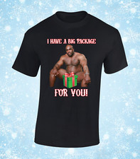 I HAVE A BIG PACKAGE FOR YOU MENS T SHIRT CHRISTMAS XMAS FUNNY MEME WOOD RUDE 