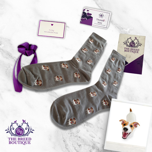 Jack russell terrier socks - jack,