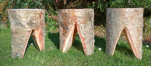 Large tree stump seat - , solid