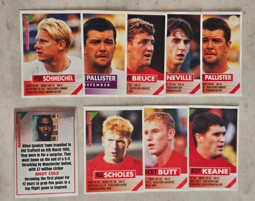 Manchester united panini - manchester,