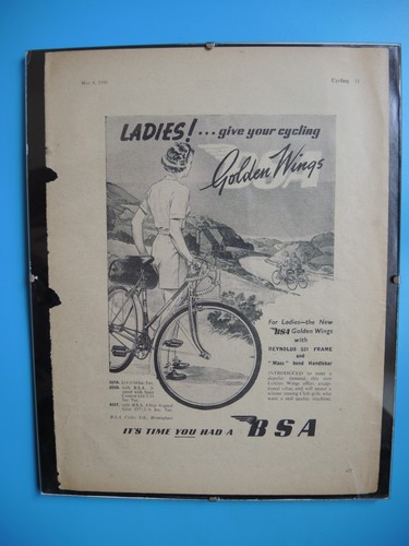 Bsa ladies golden wings - ladies,