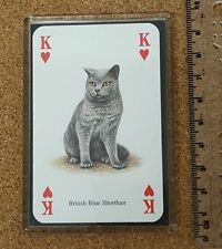 Fridge Magnet (FB6) Playing