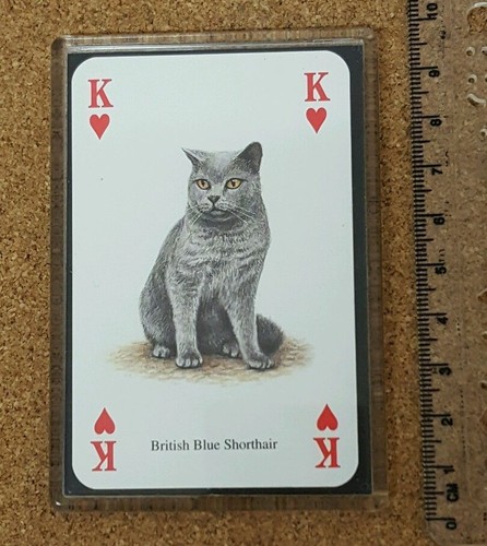 Fridge magnet playing - (fb6),