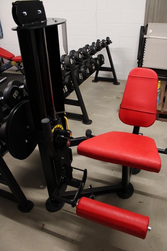 Seated leg extension - leg,