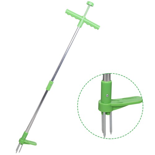Weed cutter dandelion - weed,