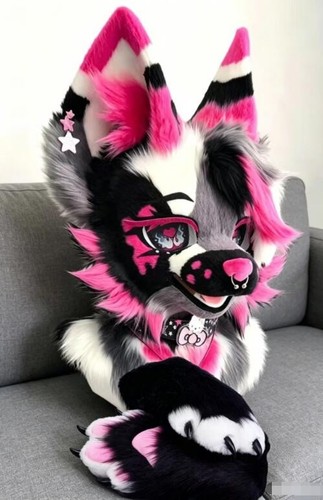 Fursuit long haired - haired, dog
