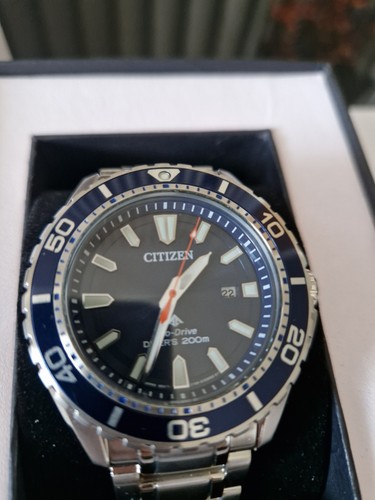 Citizen promaster bn0191 - promaster, bn0191-80l