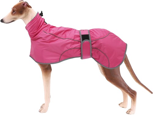 Geyecete whippet coat
