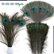 LONG 10-100pcs Natural Peacock Feathers with Eyes Home Decoration Bouquet