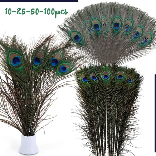 Long 100pcs natural peacock - 10-100pcs,