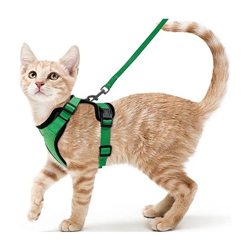 Adjustable cat harness and - harness,