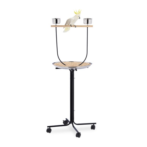 Parrot perch bird play station - bird,