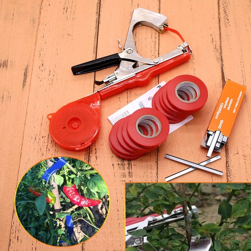 Plant hand tying - hand, tape