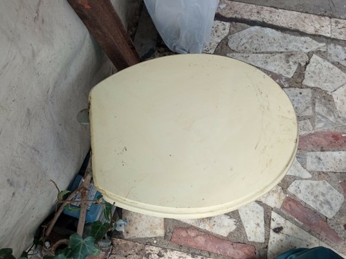 Water champagne seat cover - seat,