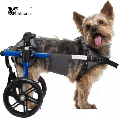 Used adjustable dog - used,