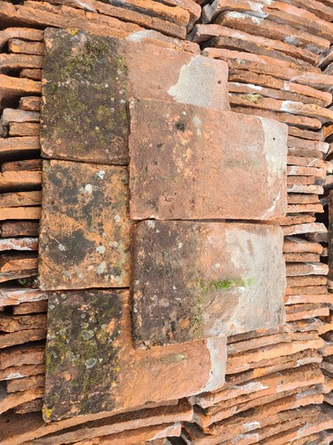 Swallow reclaimed roof tiles - roof,