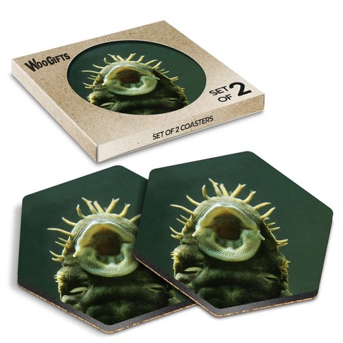 Hexagon mdf coaster - mdf,