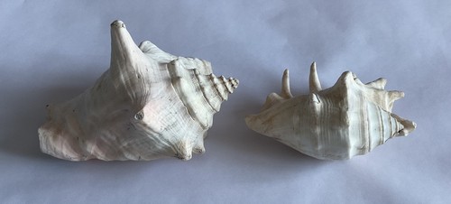 Pair large vintage - of,