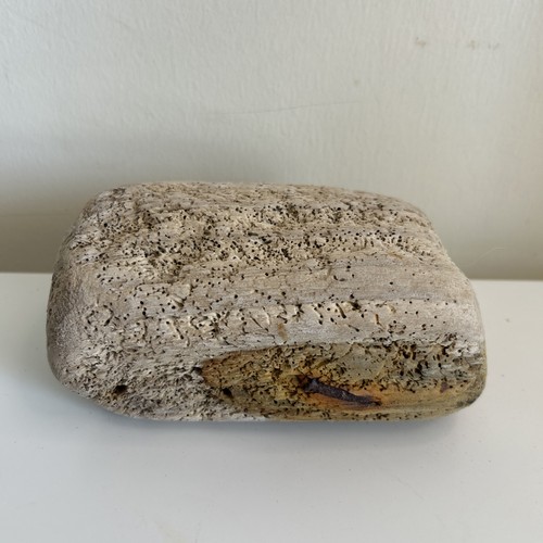 Block driftwood pieces - driftwood, –