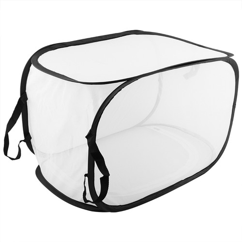 Folding large insect - ↑folding,