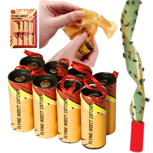 Fly insect catcher - fly,