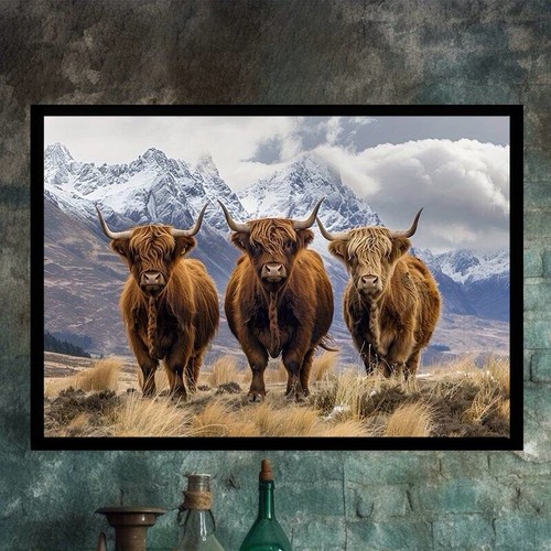 Highland cow mountain - highland,