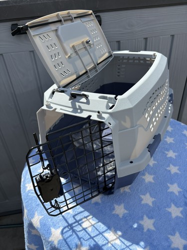 Amazon basics hard - amazon, cat