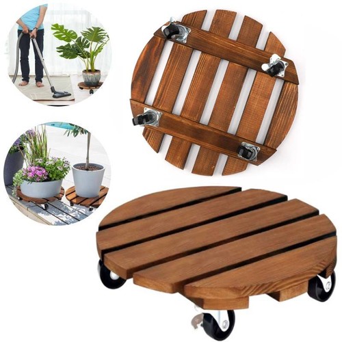 Pack 35cm inch plant - 35cm-13,