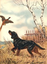 GORDON SETTER CHARMING DOG GREETINGS NOTE CARD DOG WATCHES PHEASANT