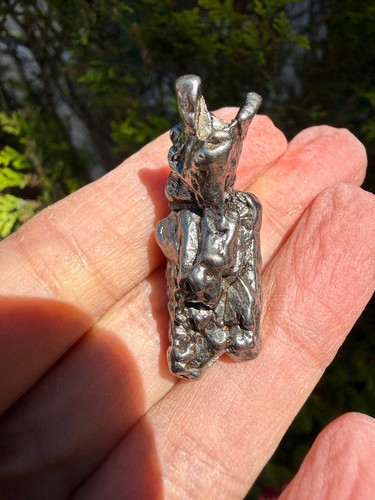 Campo del cielo meteorite - cielo,