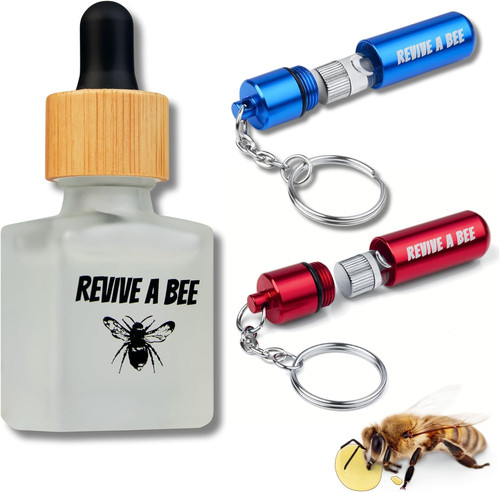 Gift box bee - bee, kit