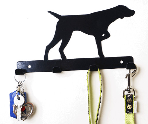 German short haired pointer - haired,