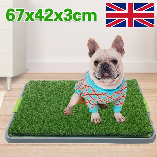 Pet dog toilet mat indoor - pet,