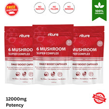 Mushroom Complex Lions Mane