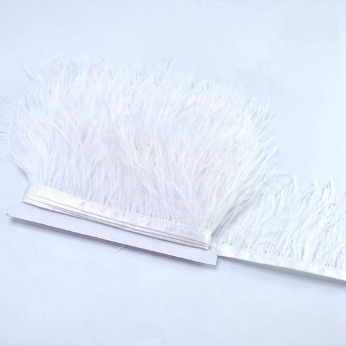 High quality metre ostrich - quality,