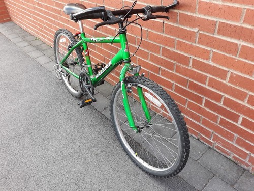 Raleigh max mountain - max,