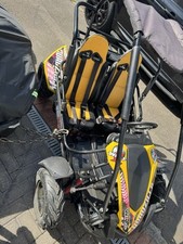 Quadzilla Wolf XL buggy