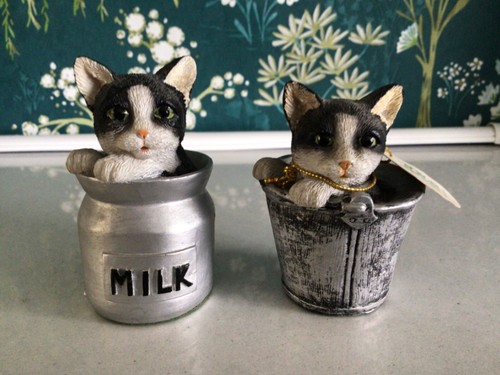 Garden friends collection - collection, cat