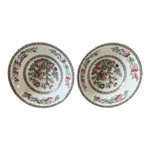 Indian tree johnson - 2x,
