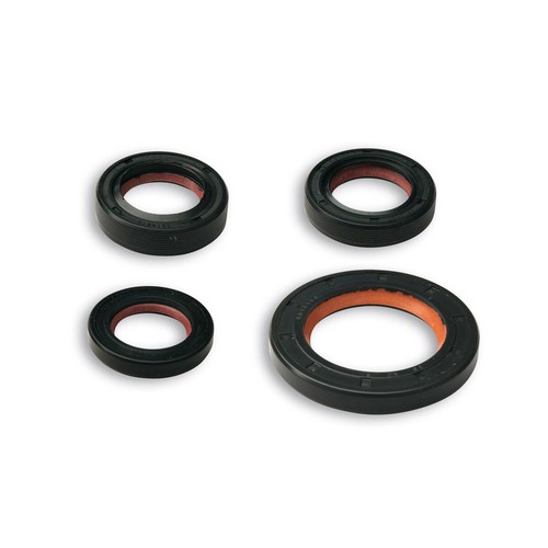 Malossi fkm seals - seals, kit