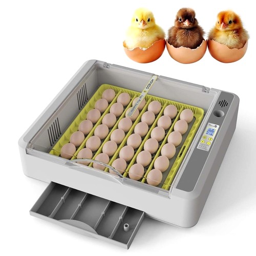 Fully automatic incubator - automatic,