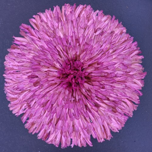 Purple traditional feather - traditional,