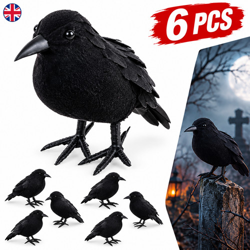 Realistic crow halloween - 6x,