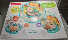 Fisher-Price 2-in-1 Sensory