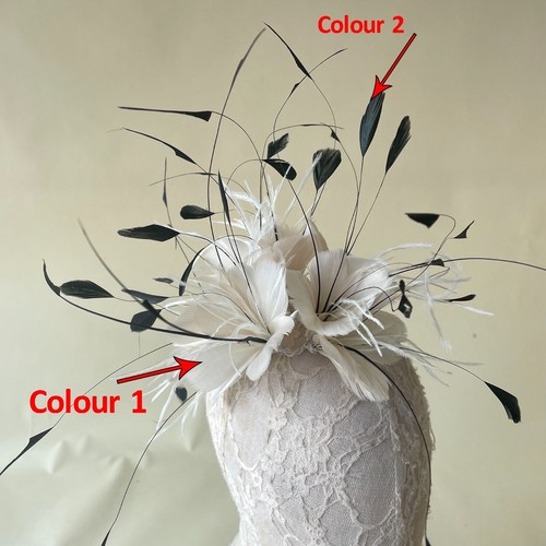 Goose and coque feather - goose,