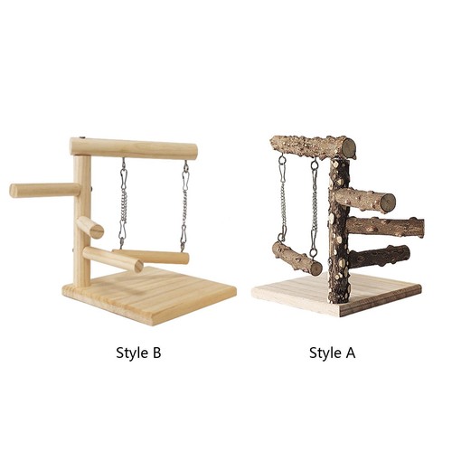 Parrot playground bird - playground, gym