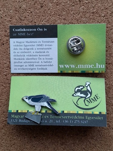 Mme goshawk charity - goshawk,