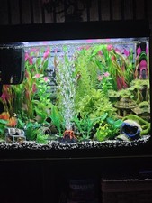 Tropical Fish Tank 50 Litre
